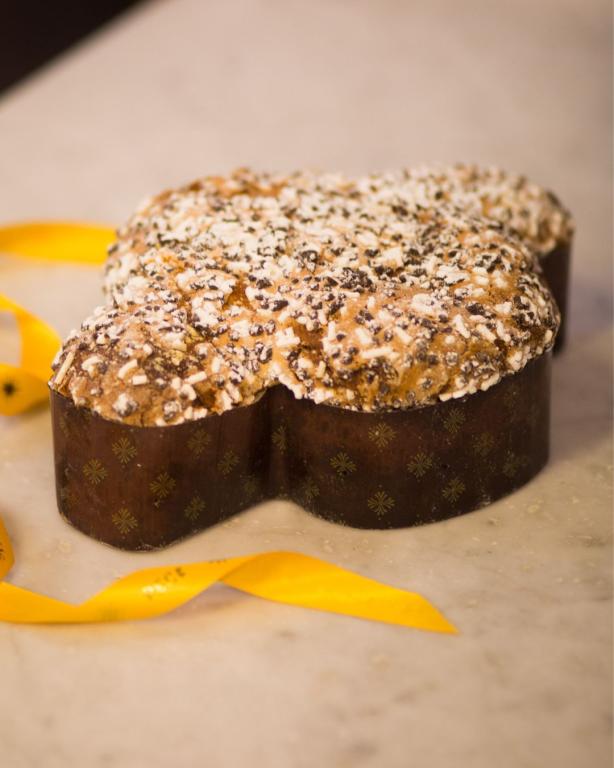 COLOMBA ALBICOCCA E CIOCCOLATO AL LATTE